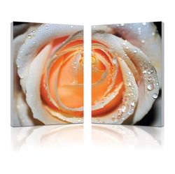 Guarnieri  Modern Painting Rose With Dew is a product on offer at the best price