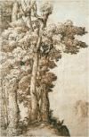 Diy Transferable Fresco Supplied On a Transferable Support With Direct Transfer Of Color To The Surface To Be Decorated. Classical Subject -tree Study - By Annibale Carracci